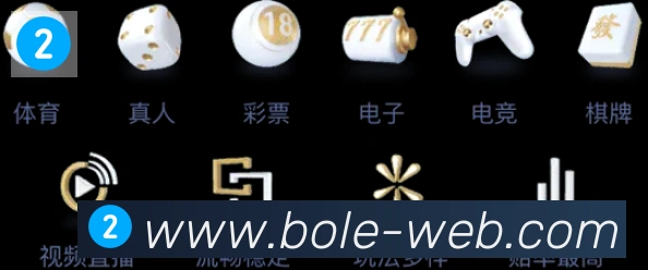 奖项证书