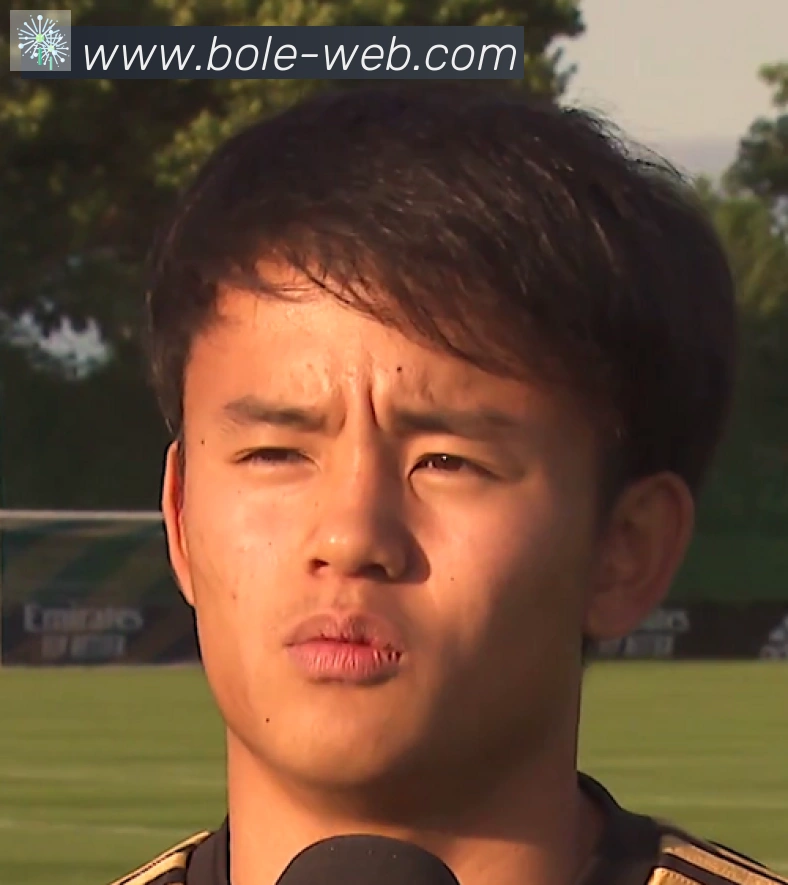 维尼修斯